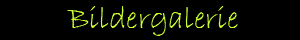 Bildergalerie